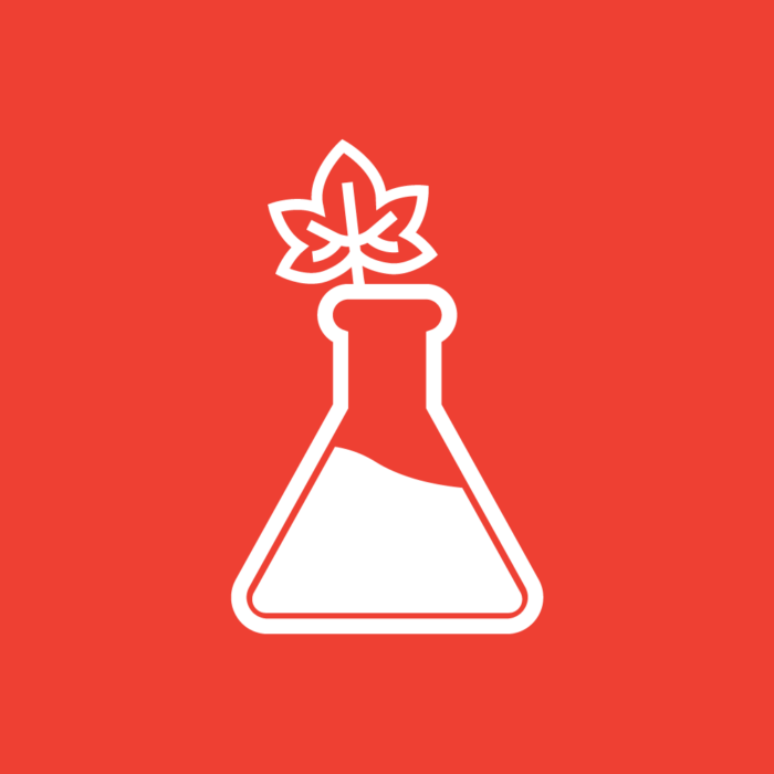 CHRISTMAS TREE DISEASE ANALYSIS
