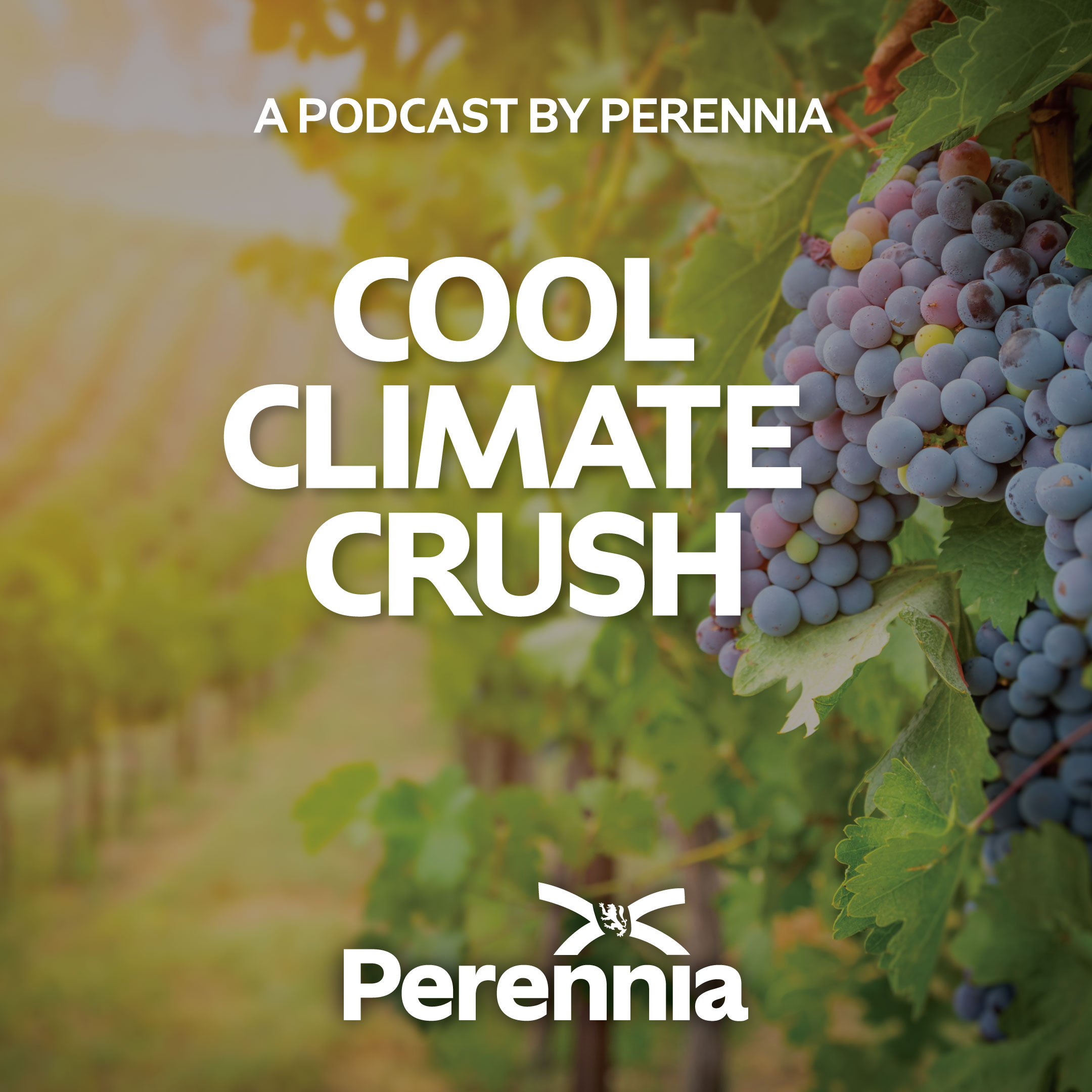 Viticulture-Podcast-graphic-2025V2